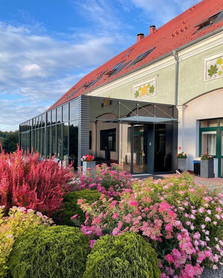 Hotel Jedlinka Jedlina-Zdroj Exterior photo